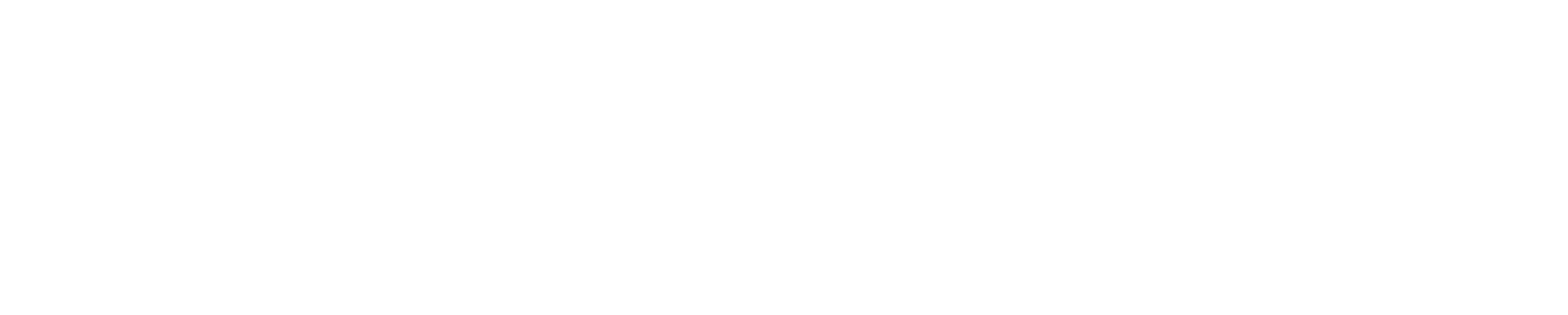 zac-speed-dakar-logo-white